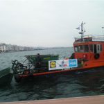 1484396666