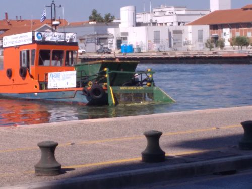 IMG 20170719 101021 1