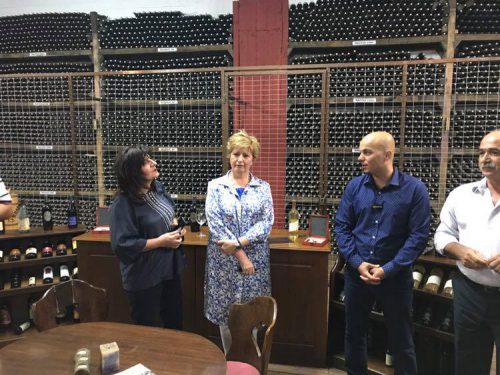 20597042 1316375868488999 2338480613907690543 n