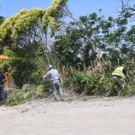 karaoglou oikopedo foinikas 1